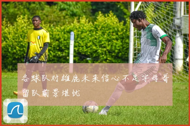 各球队对雄鹿未来信心不足字母哥留队前景堪忧