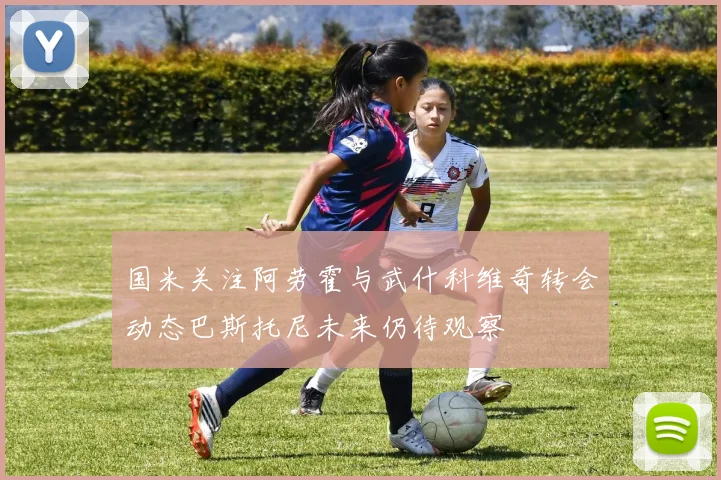 国米关注阿劳霍与武什科维奇转会动态巴斯托尼未来仍待观察