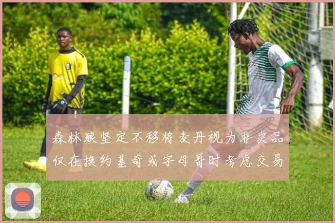 森林狼坚定不移将麦丹视为非卖品仅在换约基奇或字母哥时考虑交易